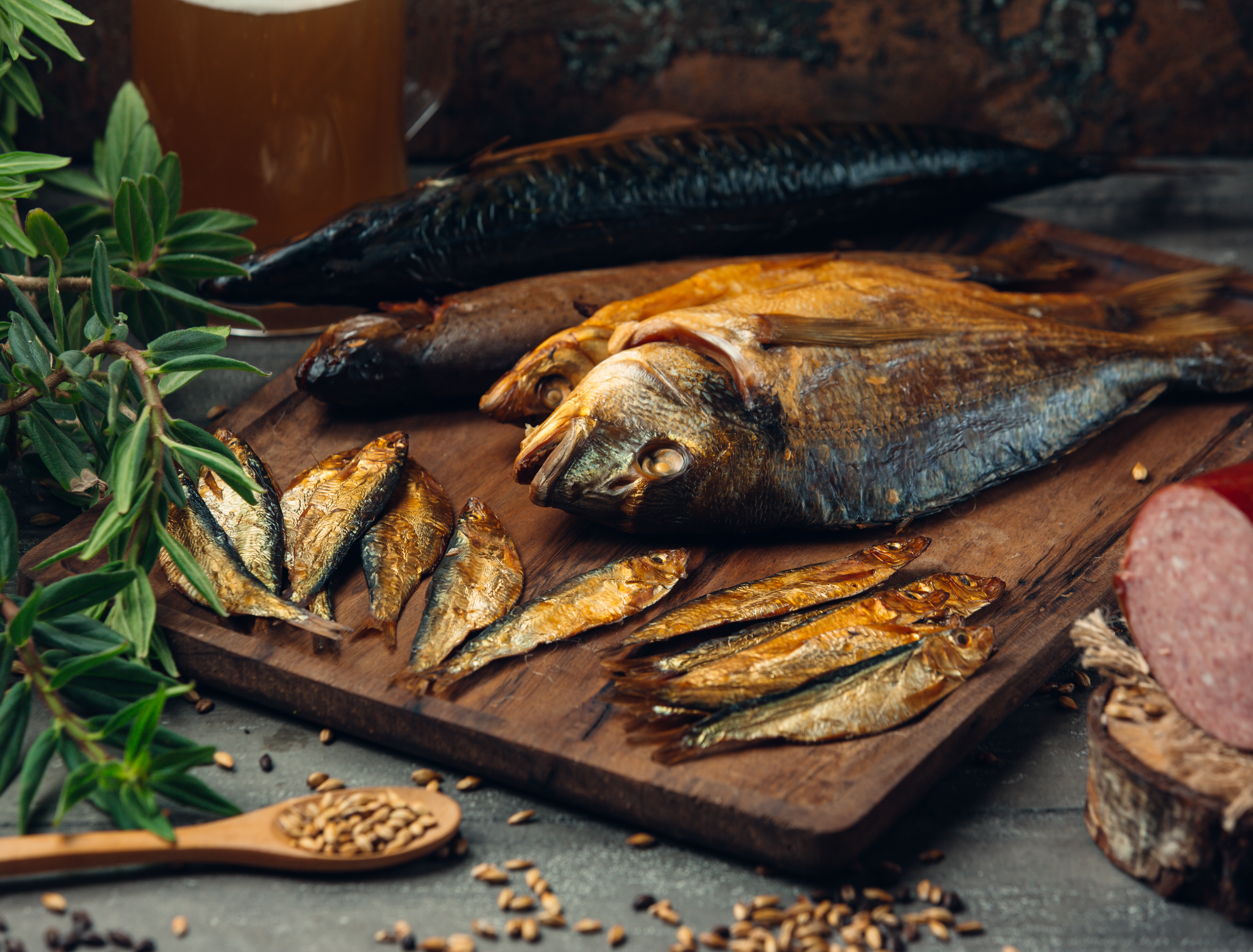 Anchovy Fish